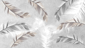 Перья на сером фоне