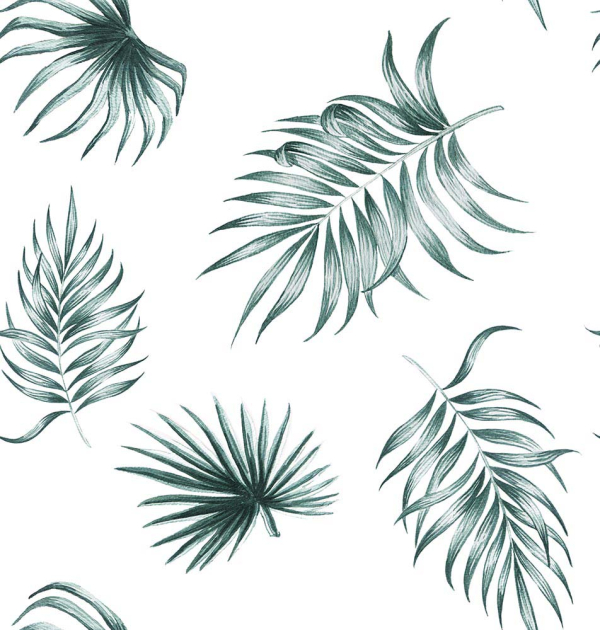 Тропические листья пальмы