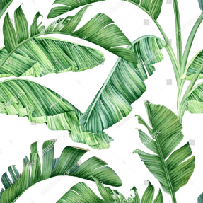 Банановые листья