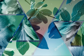 Коллаж с листьями