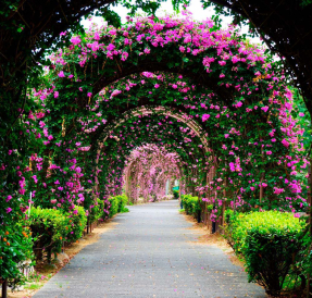 Цветочная арка