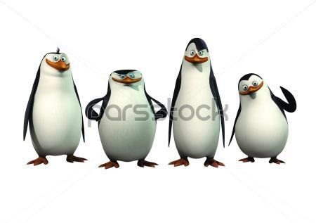 Пингвины Мадагаскара