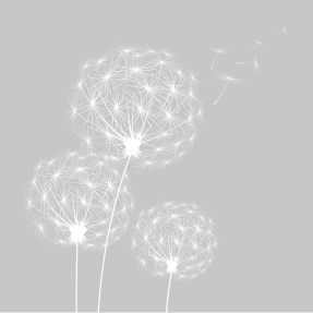 Три одуванчика