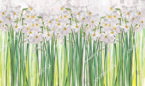Нарисованные нарциссы