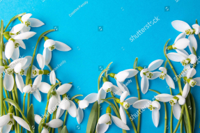 Подснежники