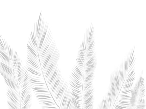 Белые тропические листья