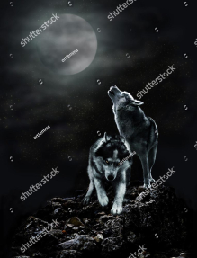 Волки и луна