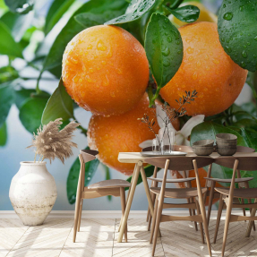 Апельсины в росе