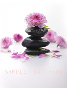 Хризантема