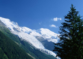 Горный лес в снегу