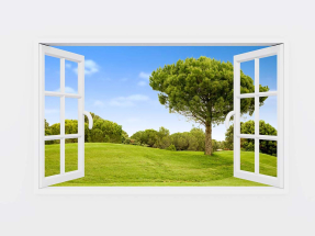 Окно с видом в парк