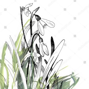 Рисованные подснежники