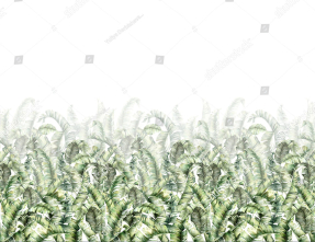 Банановые листья