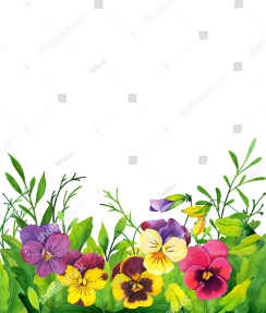 Акварельные анютины глазки