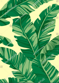 Банановые листья