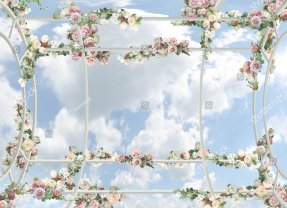 Небо с цветами