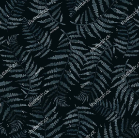 Листья папоротника