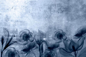 Синие цветы