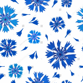 Фон из васильков