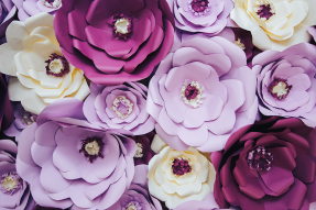 Бумажные цветы