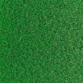 Фон из травы