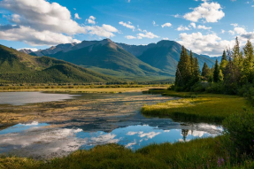 Зеленые горы