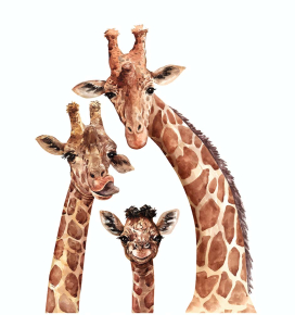 Картины Три жирафа