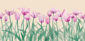 Акварельные тюльпаны