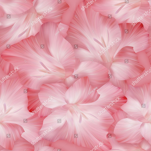 Розовые гладиолусы