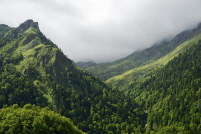 Зеленые горы