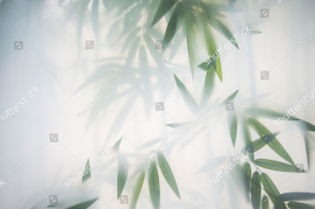 Бамбук в дымке