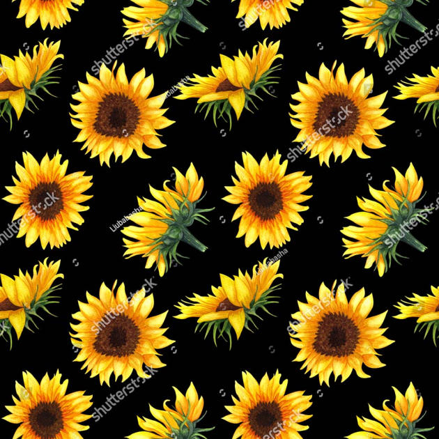 Подсолнухи на черном фоне