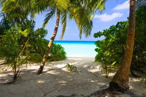 Путь к морю