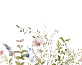 Полевые цветочки