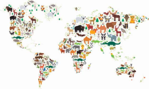 Креативная карта мира