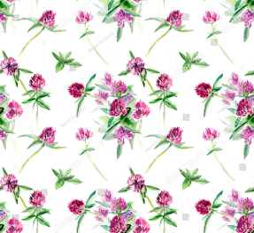 Акварельный клевер