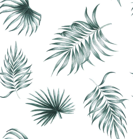 Тропические листья пальмы