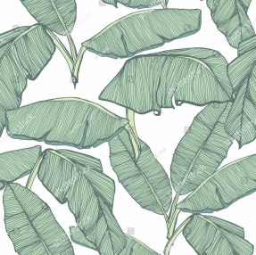 Банановые листья