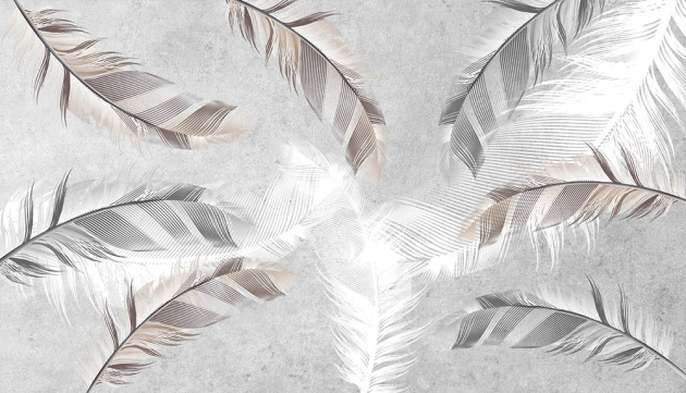 Перья на сером фоне