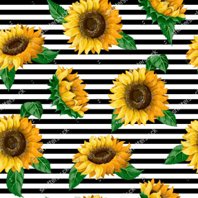 Рисованные подсолнухи
