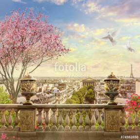 Вид на Париж