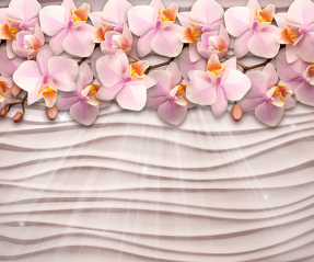 Орхидея на стене