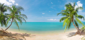 Две пальмы на пляже