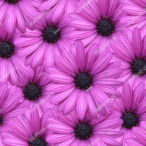 Цветочный ковер