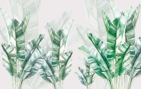 Банановые листья на фоне стены