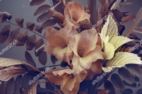 Цветочная композиция