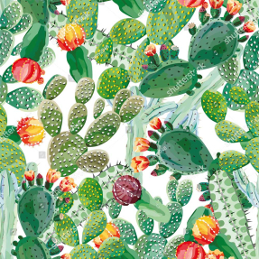 Разнообразие кактусов