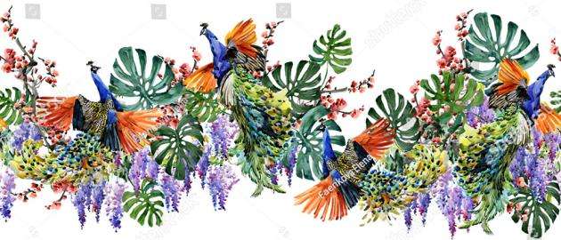 Тропики и птицы