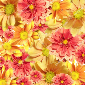 Цветочный фон