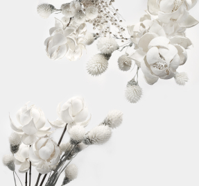 Цветочная абстракция